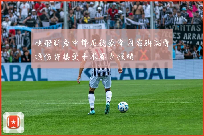 快船新秀中锋尼德豪泽因右脚跖骨损伤将接受手术赛季报销