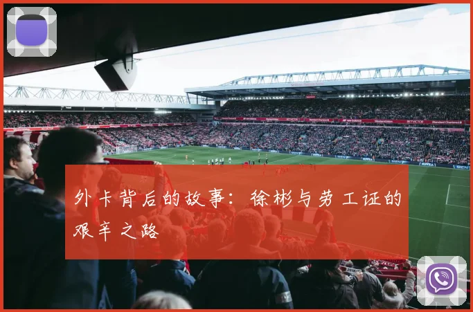 外卡背后的故事：徐彬与劳工证的艰辛之路