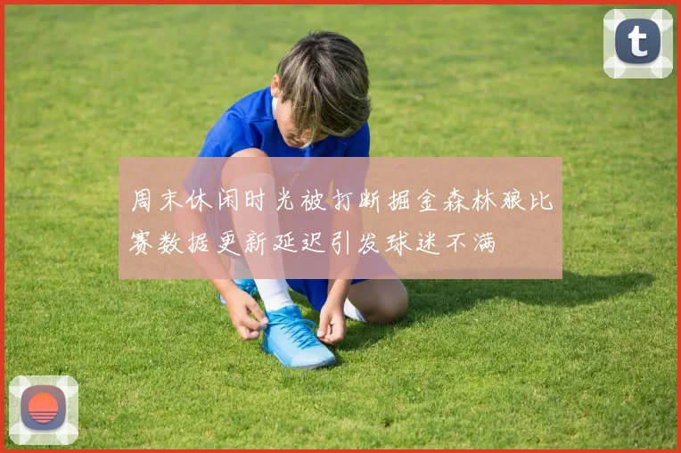 周末休闲时光被打断掘金森林狼比赛数据更新延迟引发球迷不满