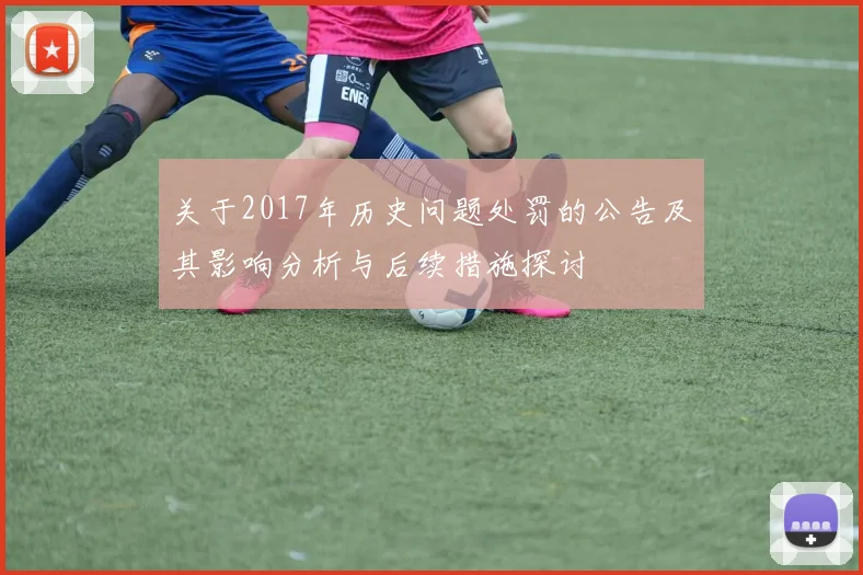 关于2017年历史问题处罚的公告及其影响分析与后续措施探讨