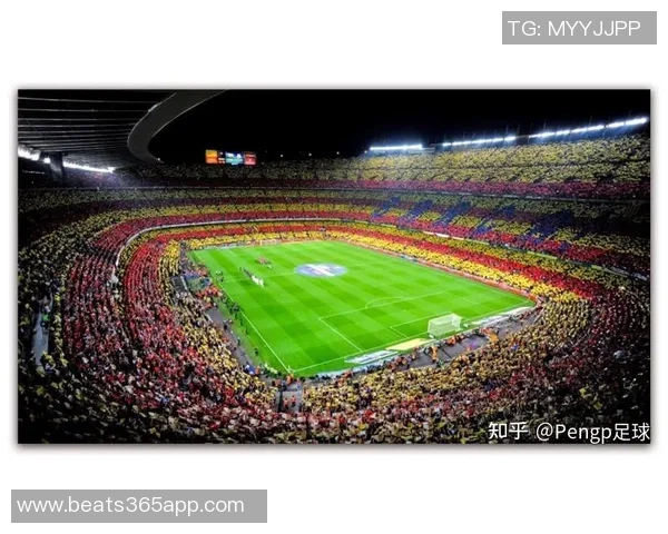 欧足联公布2028和2029年欧战决赛候选场馆包括安联竞技场和诺坎普